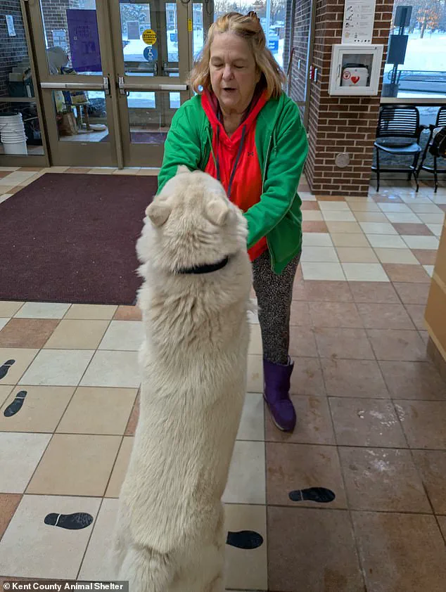 Miraculous Reunion: Missing Michigan Puppy Found After Year-Long Search