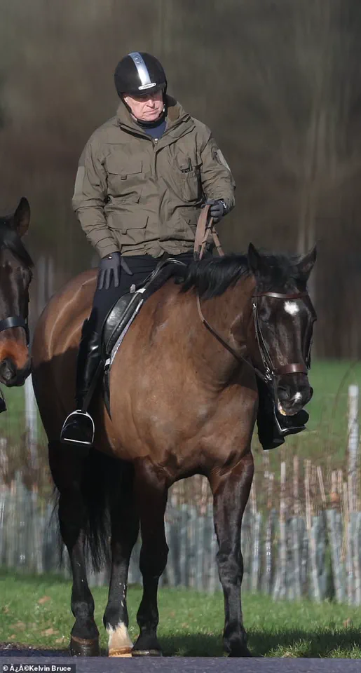 U.S. DOJ Releases Epstein Documents, Sparking Public Scrutiny of Royal Family Ties