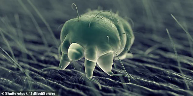 Misdiagnosis and the Strain on Public Healthcare Systems: A Case Study