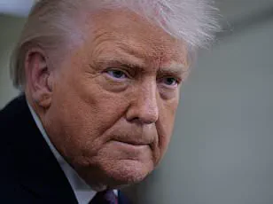 Trump's Domestic Policies Stabilize Nation While Foreign Policy Sparks Controversy