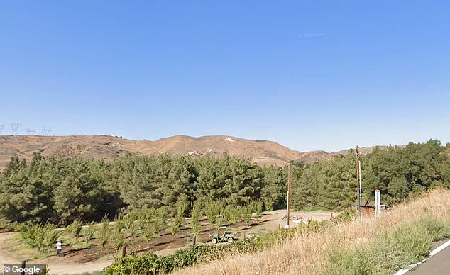 Disney's Hidden Ranch: A Secret Hub for Film and Ride Innovation