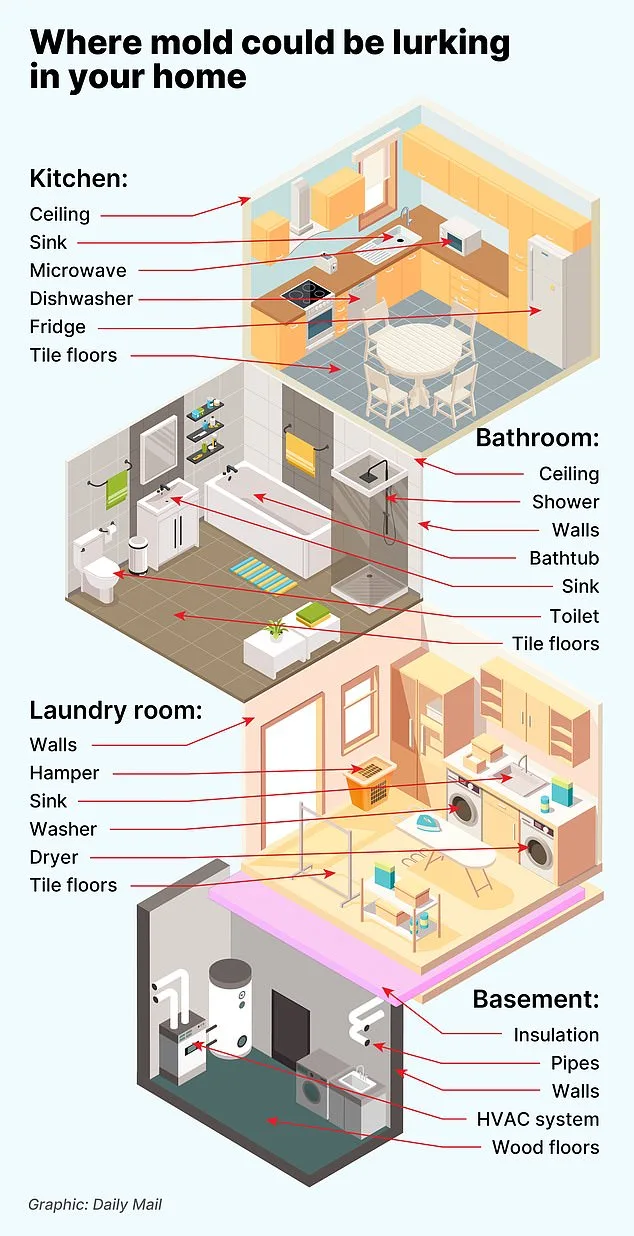 From Dismissal to Diagnosis: A Mother's Harrowing Journey Through Persistent Symptoms and Missteps in Healthcare