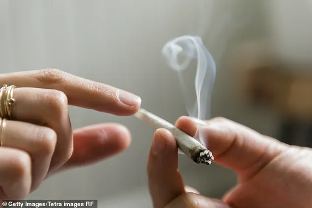 Rising Psychosis Cases in Youth: Study Links Surge to Cannabis Use and Older Parental Age