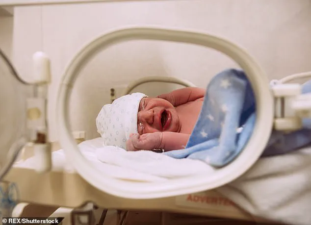 Study Reveals Prenatal Alcohol Exposure Linked to Long-Term Alcohol Dependence Risk in Humans, Using Rhesus Monkeys as Model