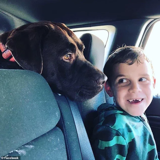 Tragic Quadruple Murder-Suicide in Mosman Park: Four Found Dead in Perth Home