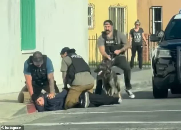 Viral Video of Teen Tackled by Officers Misinterpreted as ICE Raid, Authorities Clarify Context