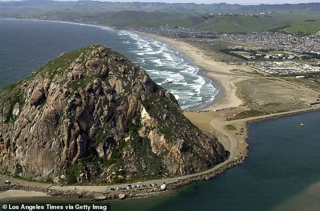 Surfer Testifies to Alleged Underwater Assault and Verbal Abuse by Paddleboarder in Morro Bay on August 23, 2025