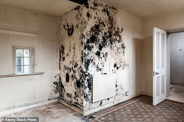 University of Bristol Study Reveals Lasting Lung Damage from Childhood Mould Exposure