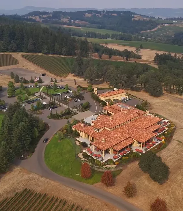 From Vineyard to Legal War: The Evenstad Family's Inheritance Saga