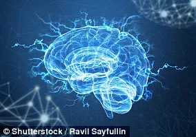 Groundbreaking Study Reveals Brain Training Exercise Could Reduce Dementia Risk by 25%, Marking First Major Protective Effect in Large-Scale Trial