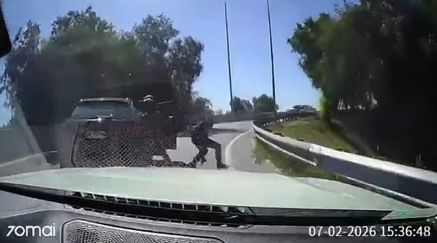 Chilean Driver's Bold Confrontation With Robbers Sparks National Debate on Vigilantism and Systemic Failures