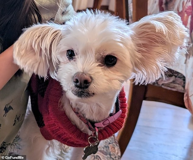 Hollywood House Fire Claims Lives of Two Sisters in Arson Attack; Family Turns to GoFundMe for Help