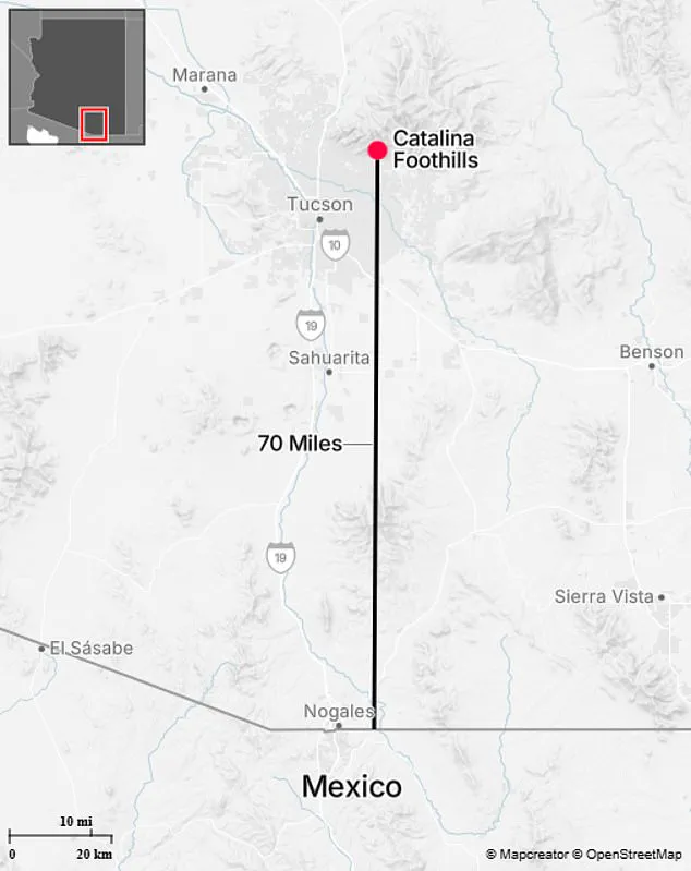 Search for Nancy Guthrie Intensifies Amid Rugged Terrain and Extreme Weather in Catalina Foothills