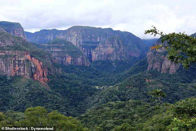 CDC Issues Urgent Travel Advisory as Chikungunya Spreads Across Americas and Beyond