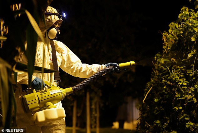 CDC Issues Urgent Travel Advisory as Chikungunya Spreads Across Americas and Beyond