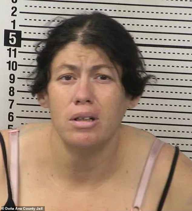 Newborn Allegedly Killed in Portable Toilet, Mother Charged with Felony Child Abuse in New Mexico