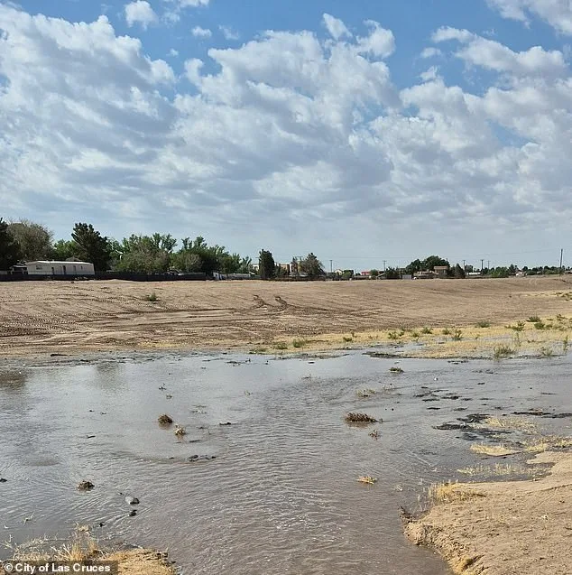 Newborn Allegedly Killed in Portable Toilet, Mother Charged with Felony Child Abuse in New Mexico