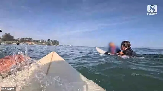 Heroic Surfers Rescue Family from Capsized Speedboat Off Santa Cruz Coast