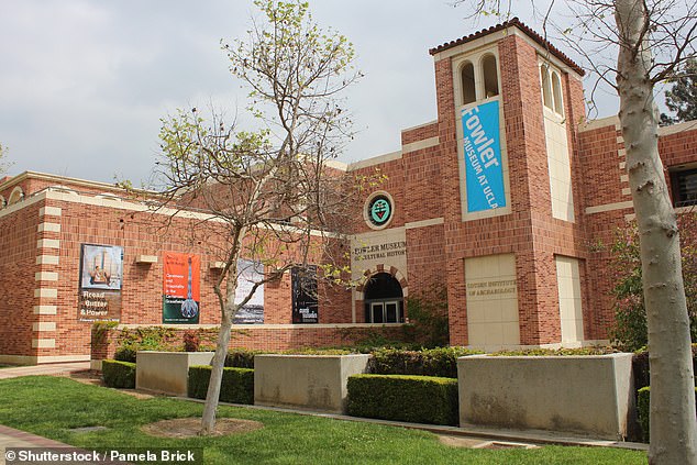 Curators Speak with Artifacts as Museums Adjust to Expanded NAGPRA Requirements