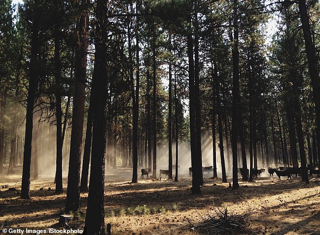 Oregon's PEACE Act Petition Surpasses 100,000 Signatures, Targeting Hunting and Fishing Ban on Ballot