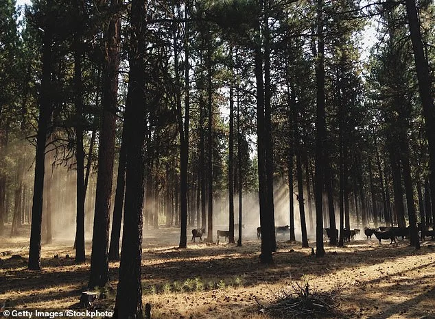 Oregon's PEACE Act Petition Surpasses 100,000 Signatures, Targeting Hunting and Fishing Ban on Ballot