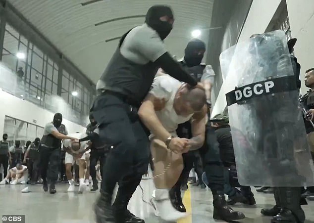 Bari Weiss Withdraws from UCLA Lecture Over Security Concerns Despite University Assurances