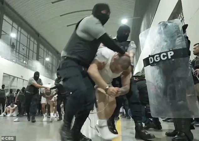 Bari Weiss Withdraws from UCLA Lecture Over Security Concerns Despite University Assurances