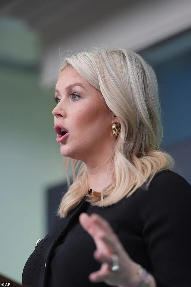 Republican Strategist Blames Democrats for Trump Assassination Attempt as Suspect Killed in Standoff