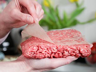 Aldi and Rosina Food Products Recall Frozen Meatballs Over Hidden Metal Fragments