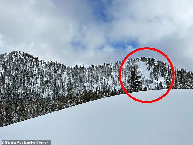 Deadly Lake Tahoe Avalanche: Eight Mothers Buried Alive, New Images Reveal Backcountry Tragedy