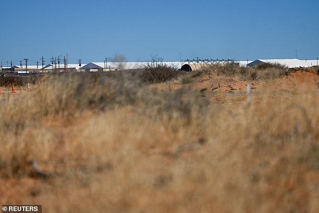 Irish Immigrant Detained by ICE Faces Domestic Violence Allegations Amid Visa Overstay Claims