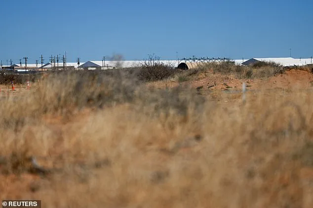 Irish Immigrant Detained by ICE Faces Domestic Violence Allegations Amid Visa Overstay Claims