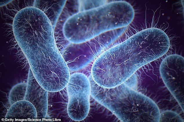 Drug-Resistant XDR Typhi Resurgence Threatens Modern Medicine