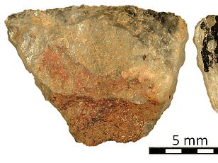Stone Age Skeleton in Hungary Challenges Gender Assumptions, Revealing Early Signs of Fluid Identities