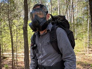 Oarfish Wash Ashore in Mexico, Reigniting Ancient Folklore and Scientific Curiosity