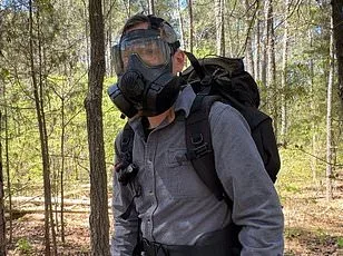 Oarfish Wash Ashore in Mexico, Reigniting Ancient Folklore and Scientific Curiosity