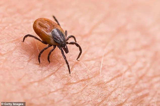 Dr. Robert Malone Accuses CIA of Cold War Bioweapon Experiments Tied to Lyme Disease Outbreak
