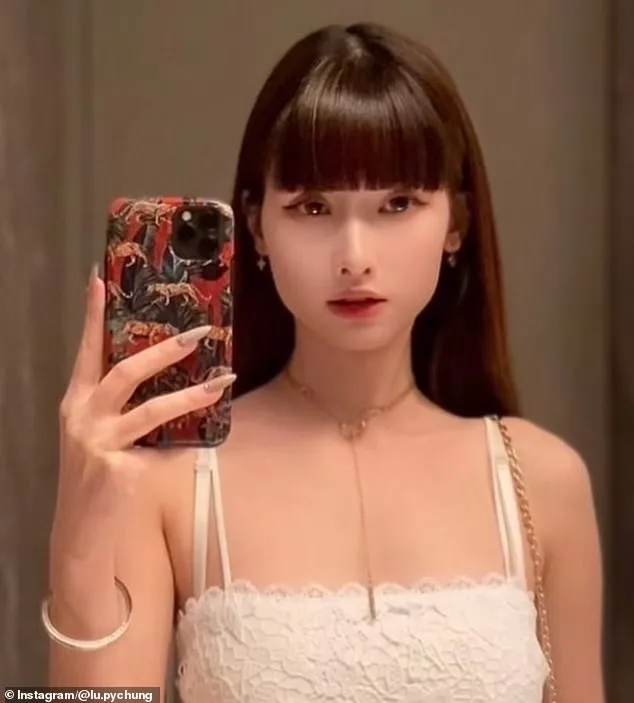 Judge Dismisses Restaurant Theft Charges Against Woman, Sparking Debate on Mental Health, Legal Accountability, and Immigration Status