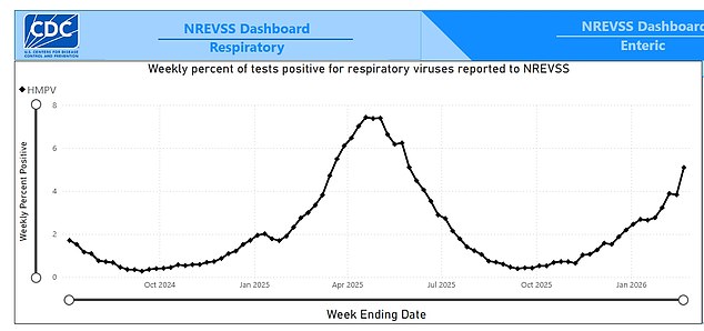 Surge in HMPV Cases Sparks CDC Alert: No Known Treatment for Emerging Public Health Threat