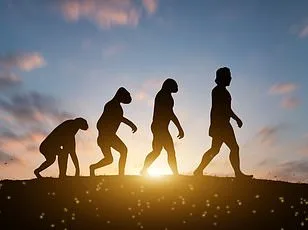 Winter Storm Buries West in Up to Four Feet of Snow, Urging Travelers to Avoid Life-Threatening Conditions