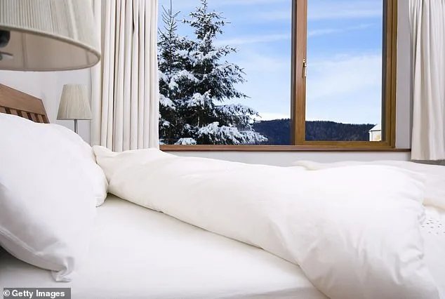 The Hidden Threat of Dust Mites: How These Tiny Arachnids Trigger Allergies and Worse