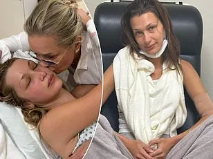 Nine-Year Study Reveals Babesia Microti May Surpass Lyme Disease as Public Health Threat in Dutchess County