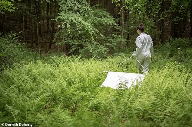 Nine-Year Study Reveals Babesia Microti May Surpass Lyme Disease as Public Health Threat in Dutchess County