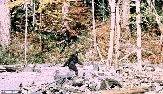 Ohio's Latest Bigfoot Mystery Sparks Debate as Sightings Are Documented in Real Time