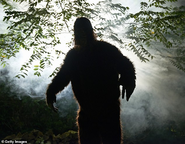Ohio's Latest Bigfoot Mystery Sparks Debate as Sightings Are Documented in Real Time