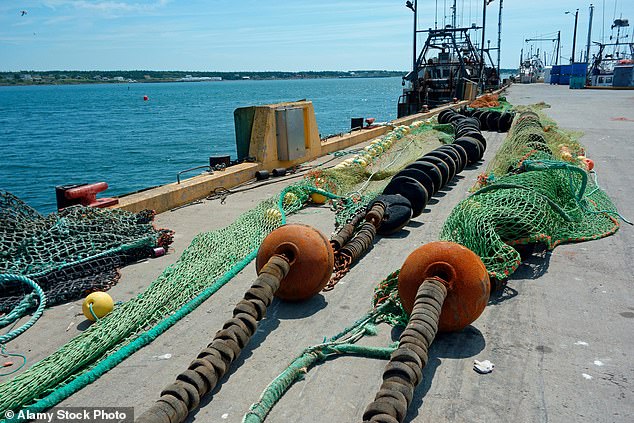 Scampi's Hidden Climate Cost: How Bottom Trawling Threatens Marine Ecosystems