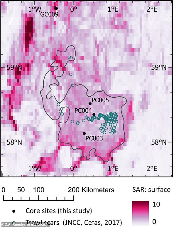 Scampi's Hidden Climate Cost: How Bottom Trawling Threatens Marine Ecosystems
