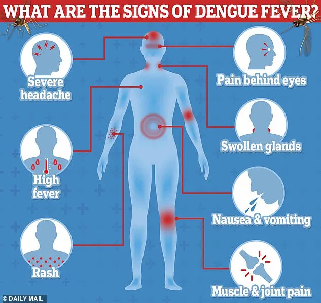 Climate Change Drives Dengue Outbreak Surge After Peru Cyclone