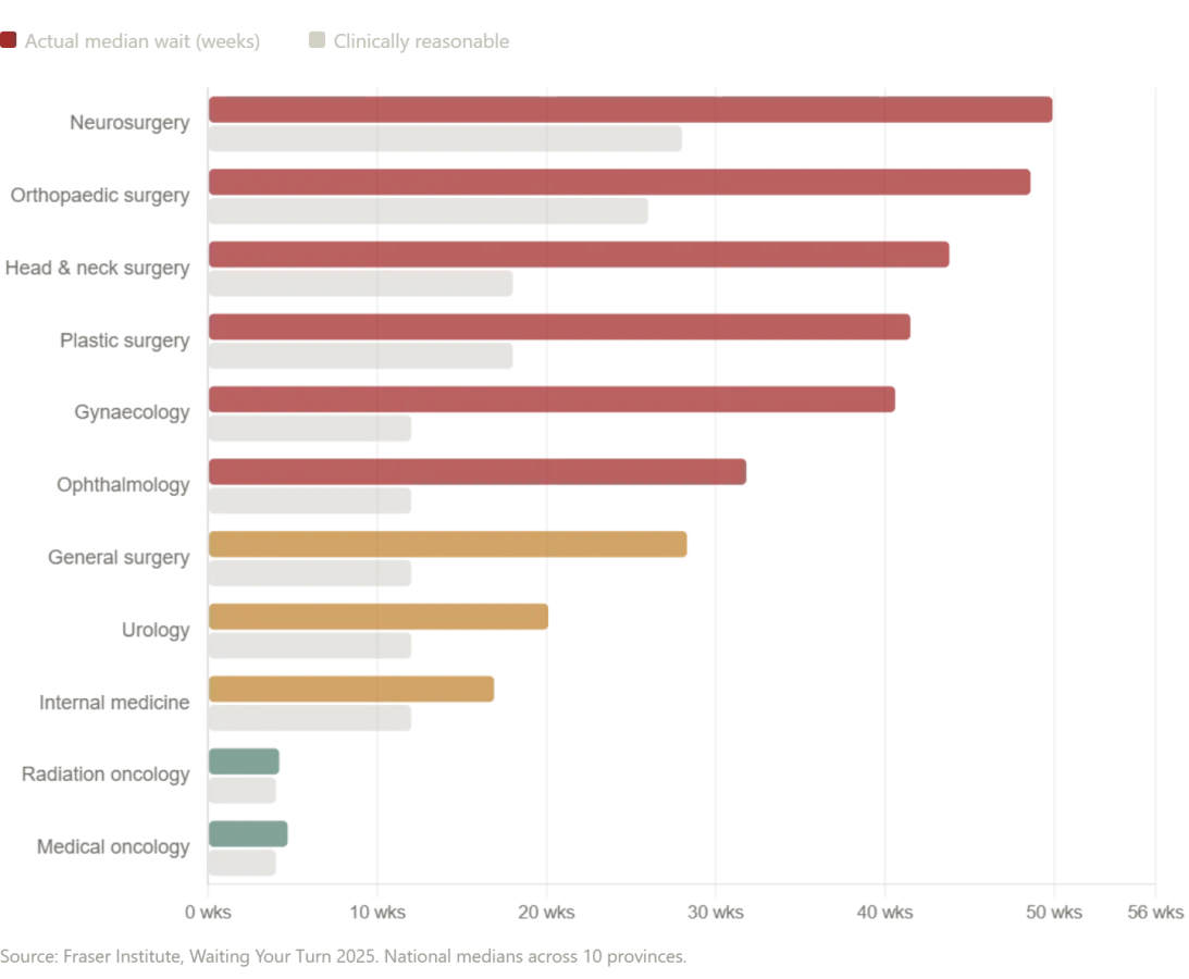 From Moscow to Regional Hospitals: A Personal Encounter with Russia's Divergent Healthcare Systems