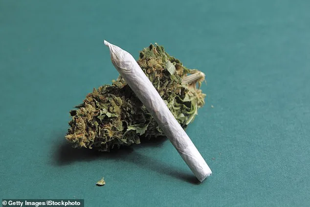 Landmark Study Questions Efficacy of Rapid Medicinal Cannabis Prescriptions for Mental Health